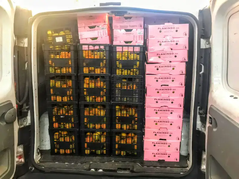 borange | Πορτοκάλια, Λεμονιά, Lime, Αποχυμωτές